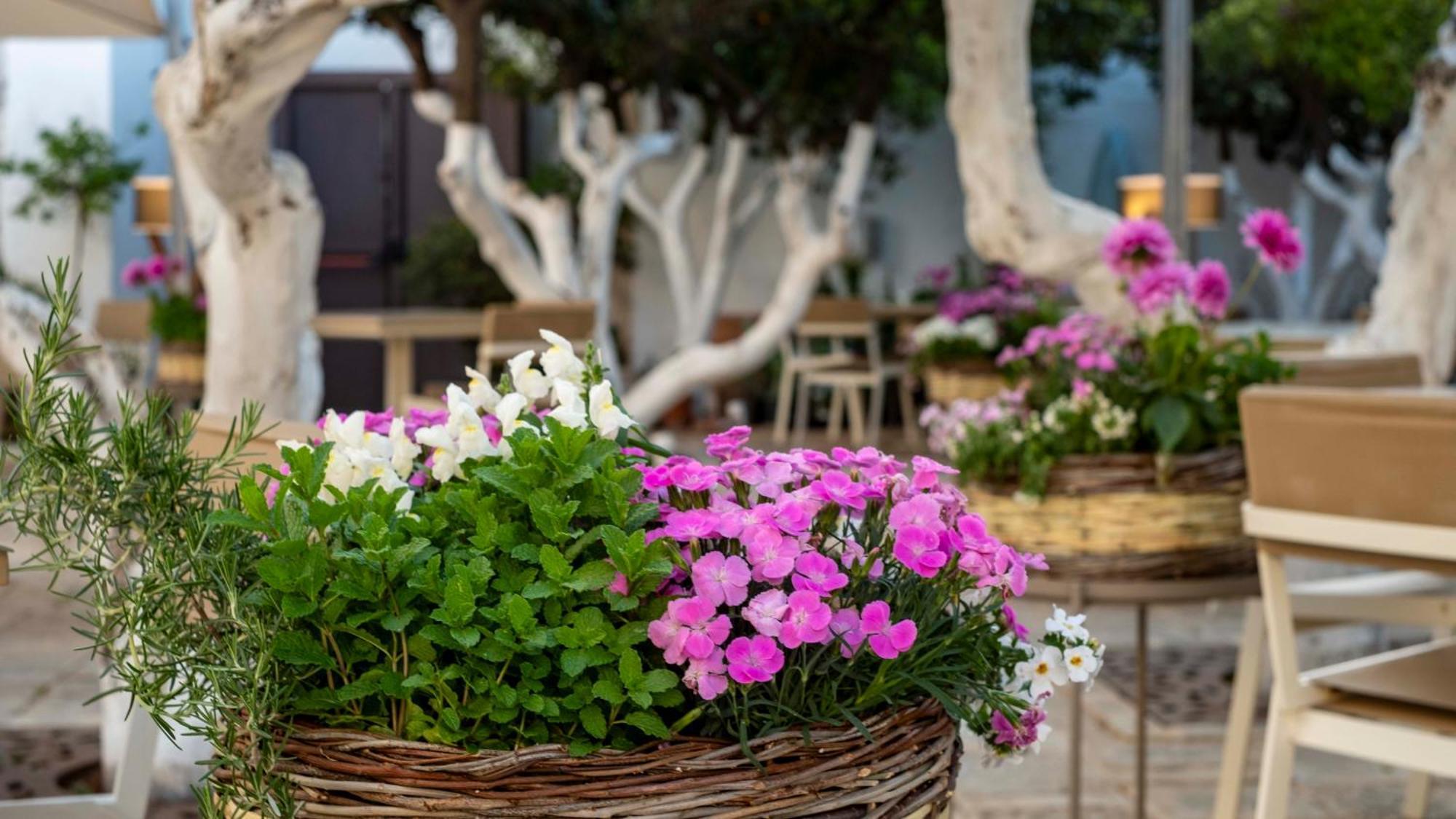 La Sommita Relais & Chateaux Hotel Ostuni